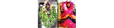 திருமங்கலம் 